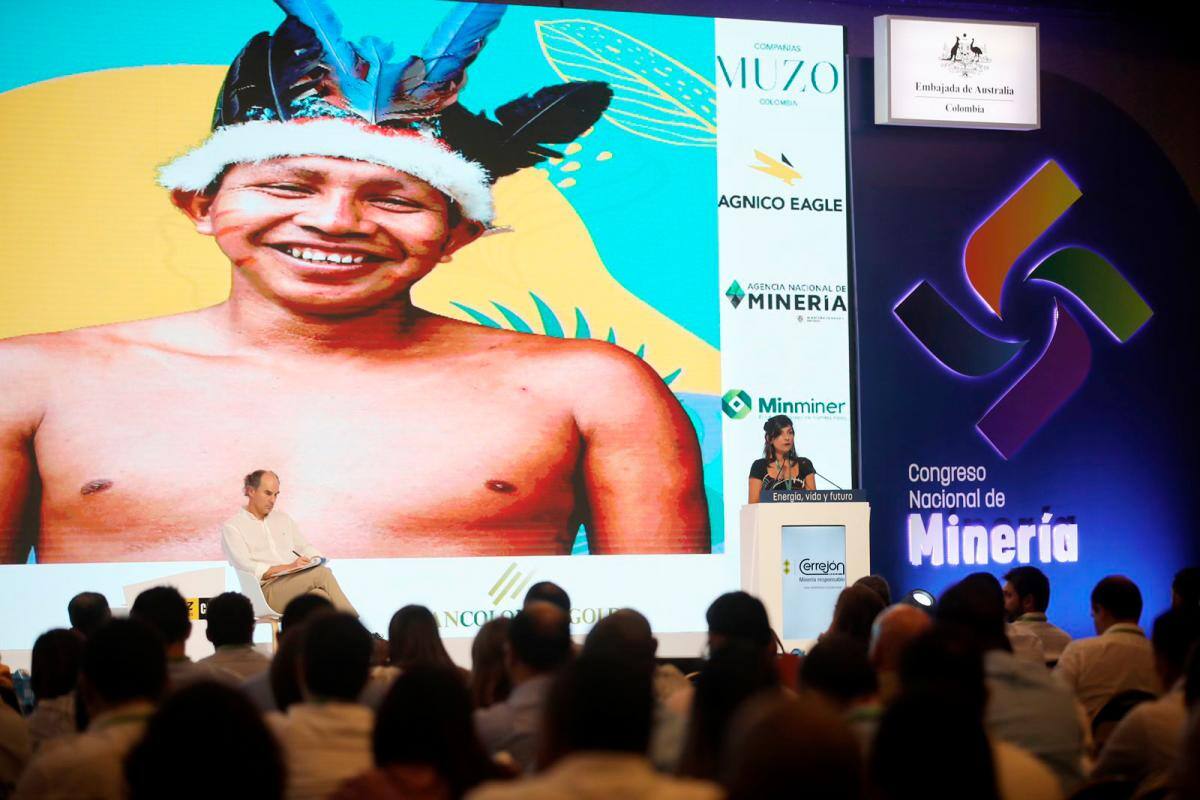 ¿De qué se trata la polémica teoría del decrecimiento de Minminas?