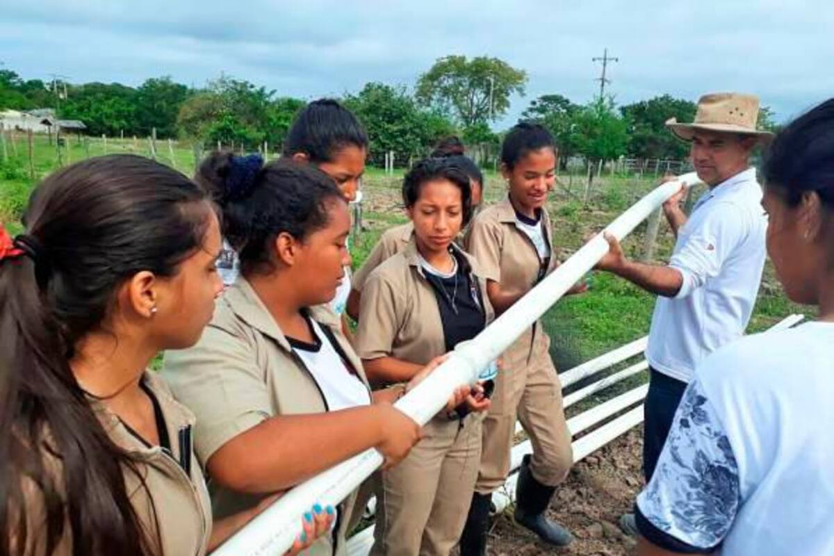 En San Benito se aprende del campo