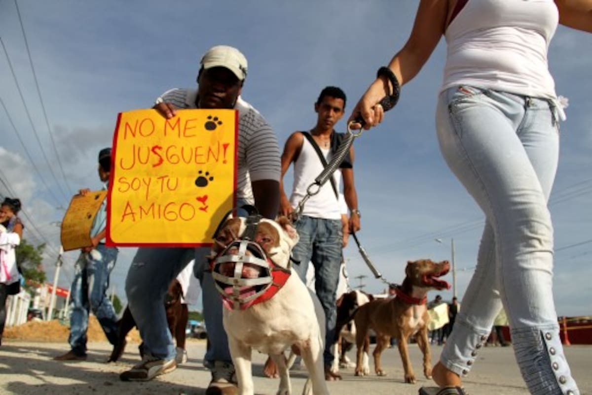 Un grupo de personas dueños de perros en Cartagena salieron ayer con sus animales a exigir respecto por los derechos de sus caninos. ÓSCAR DÍAZ-EL UNIVERSAL