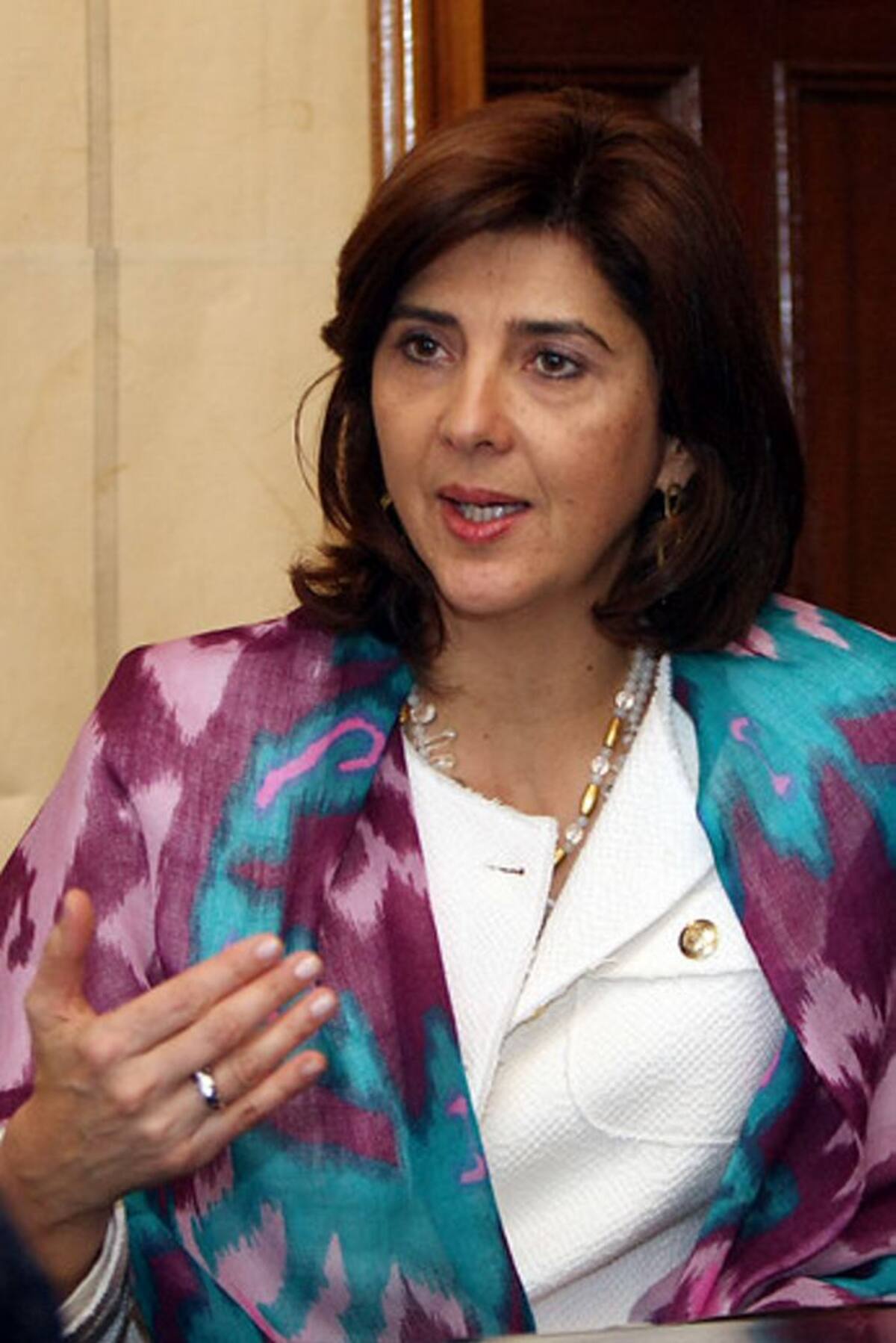 Canciller María Ángela Holguín Colprensa