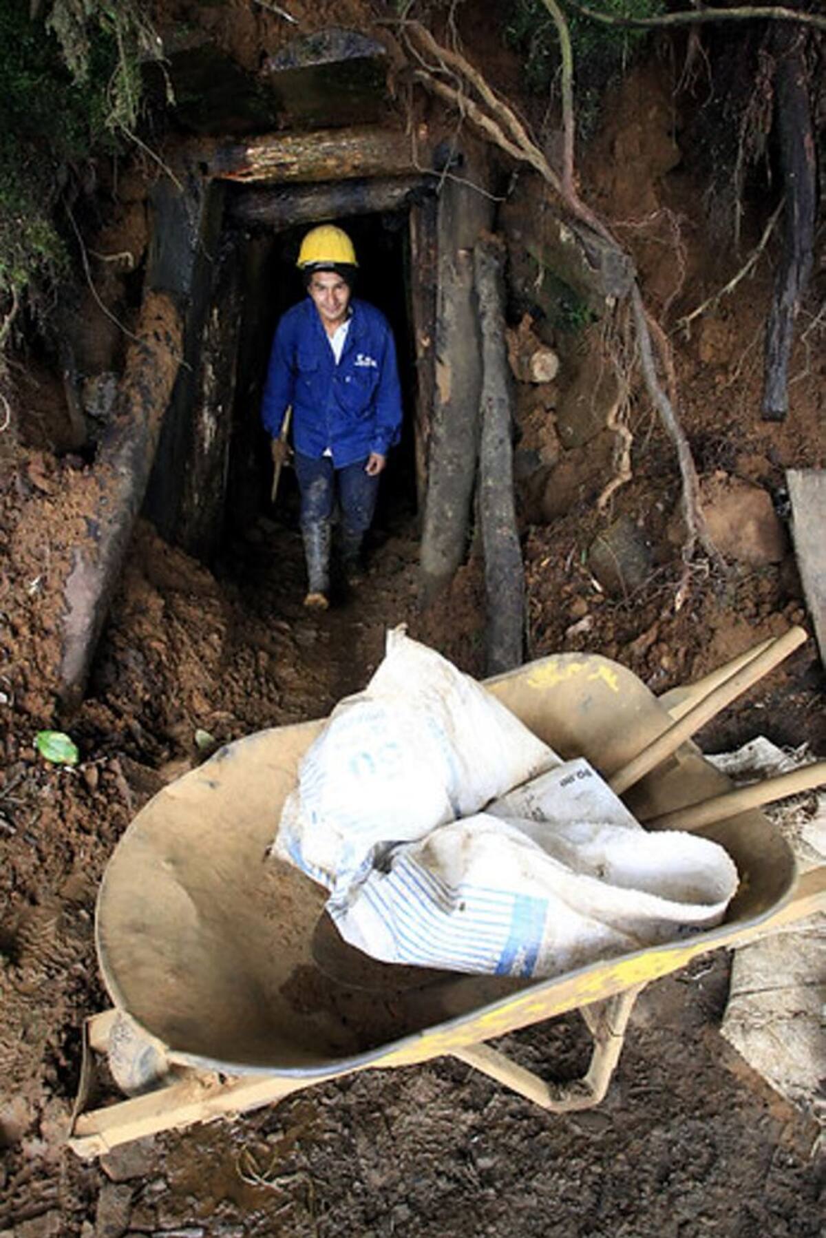 Las actividades de la empresa ahora se centrarán en México y Perú. COLPRENSA