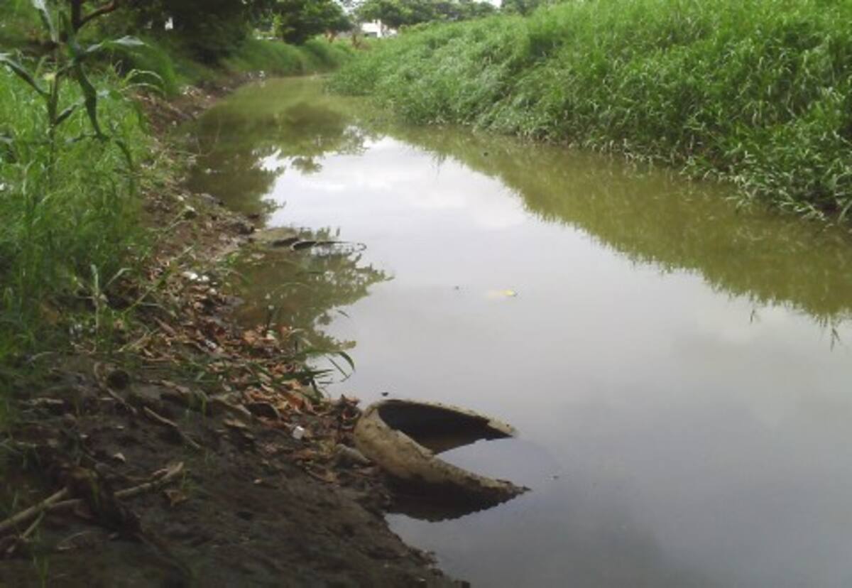 La carga de sedimentos que entra en el Bugre es de 24 kilogramos por segundo.