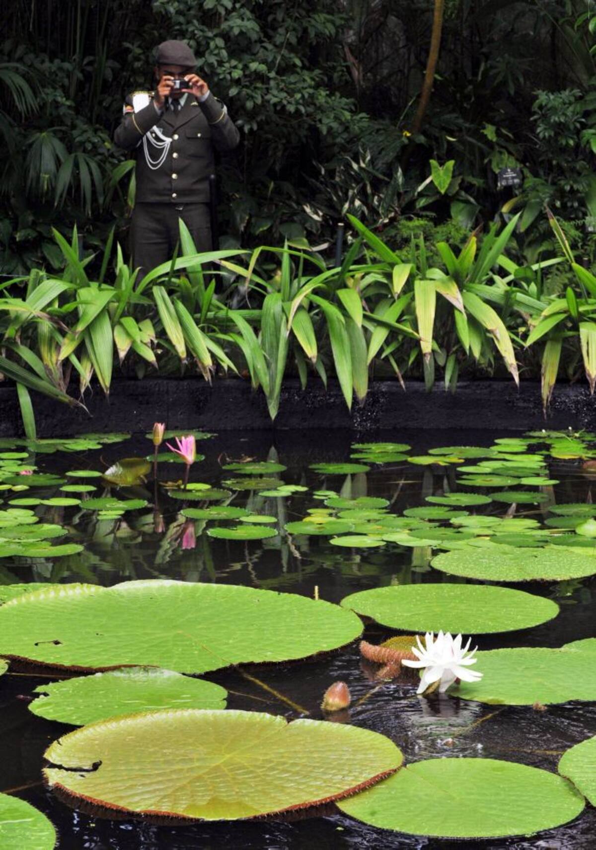 La energía solar permitirá el bombeo de agua para el sistema de riego de la pérgola del Jardín. AFP