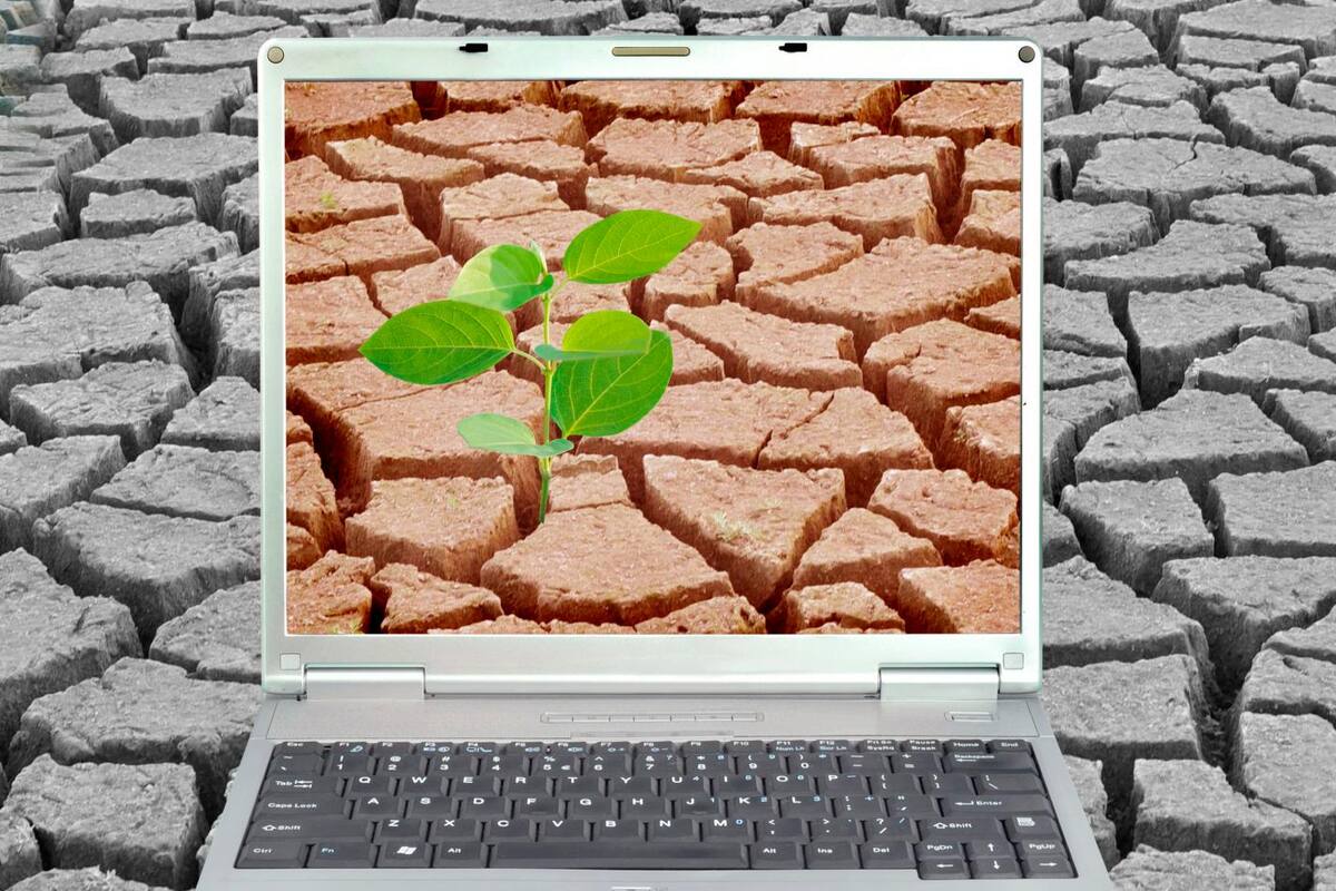 Google quiere ayudar en la lucha contra la crisis climática: así lo hará