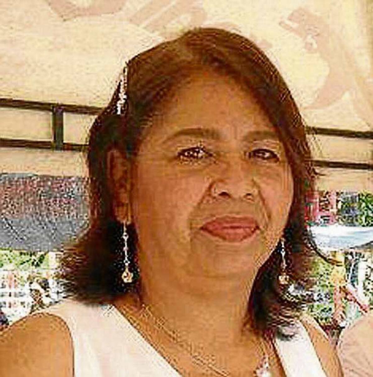 Guadalupe Castillo Brum; Segunda Vicepresidente del Concejo.