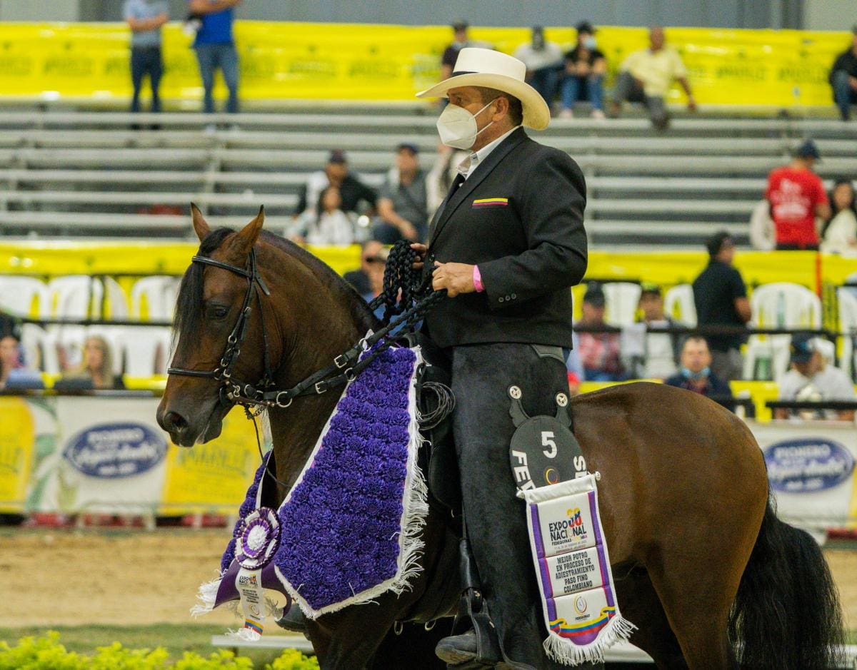 Borinquen de San Isidro, el Mejor Potro en Proceso de Adiestramiento, en Paso Fino Colombiano, en la Expo 38 Nacional Equina, en Barranquilla. // CORTESÍA FEDEQUINAS