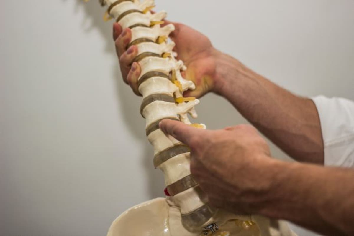 Las articulaciones de la columna que no tienen un movimiento correcto pueden irritar los nervios más cercanos. Cortesía.