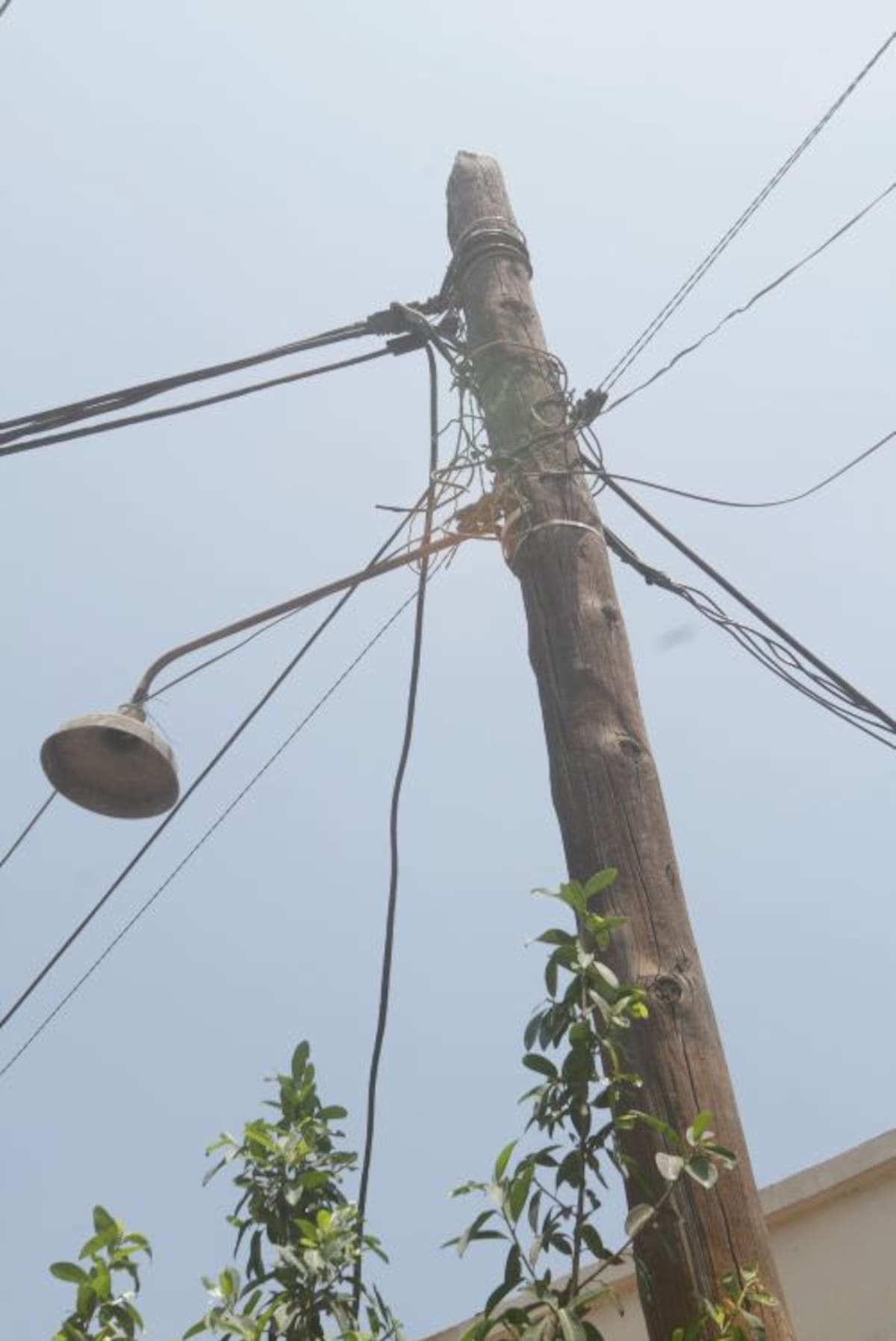Una gran carga de cables tiene este poste en la calle El Mamón de El Bosque. Julio Castaño