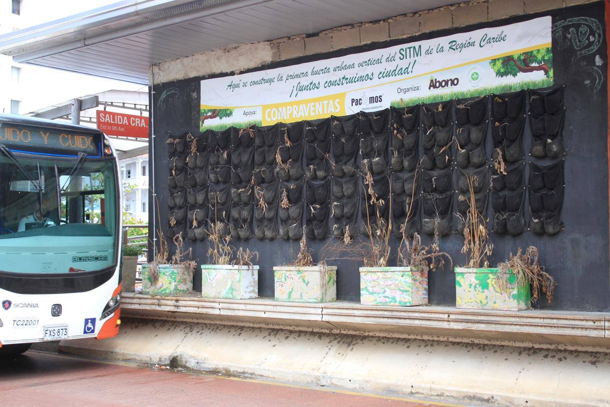 Dos fundaciones se pondrán en la tarea de ‘revivir’ la huerta muerta