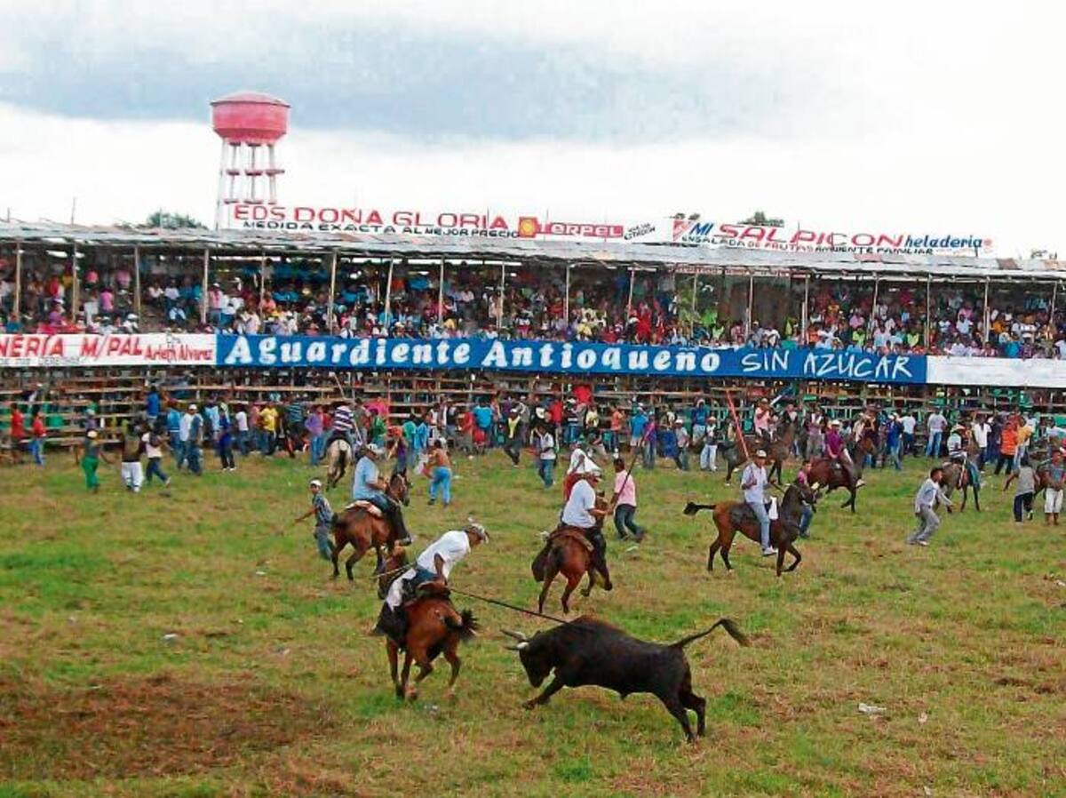 Los garrocheros han hecho grandes faenas en las corralejas de Buenavista