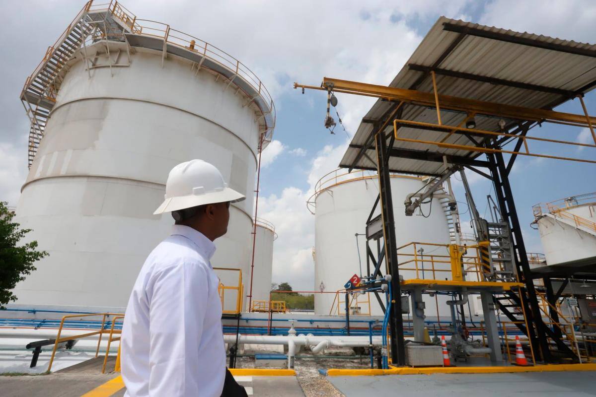 Chevron le apuesta a corales de El Varadero, en la bahía de Cartagena