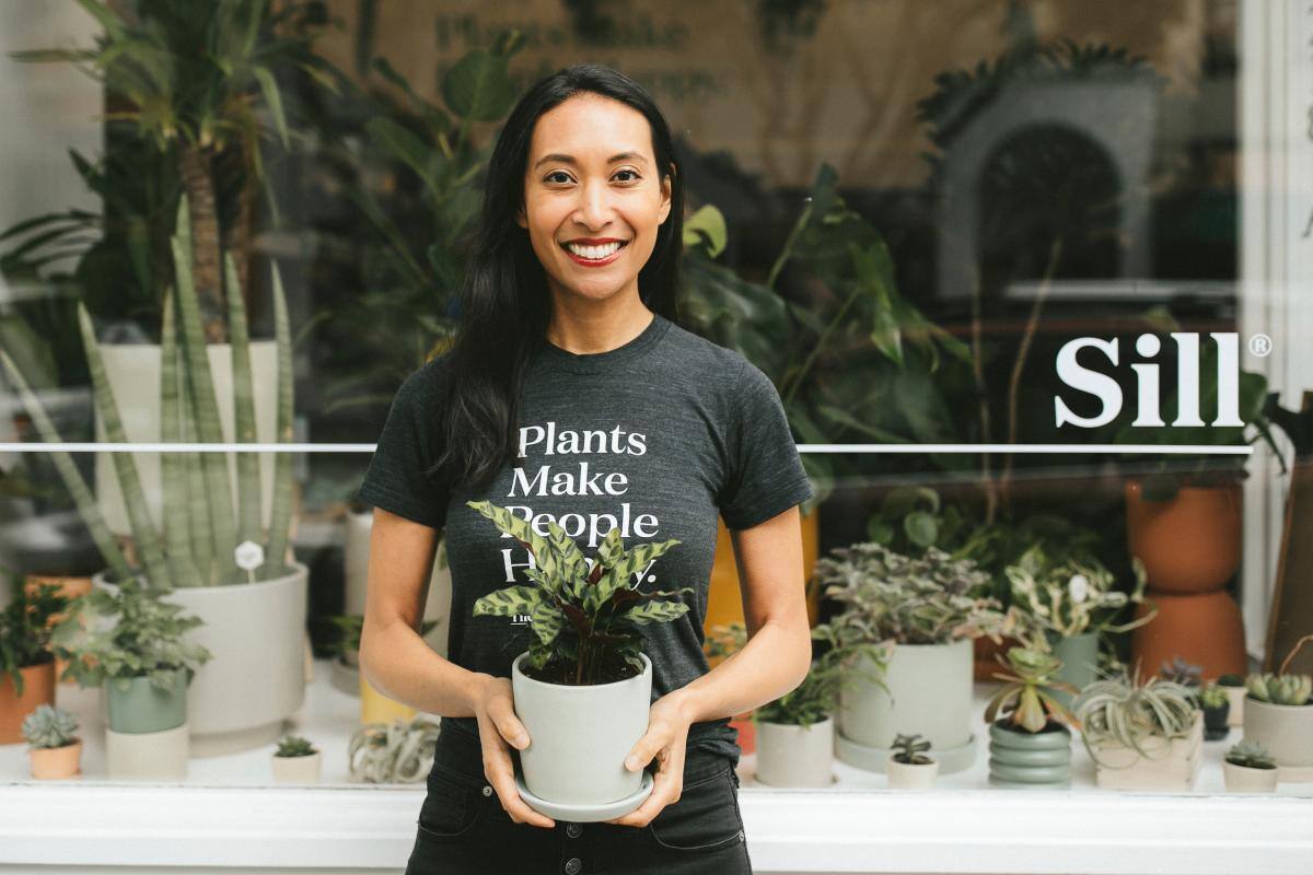 La venta de plantas para interiores se dispara en pandemia