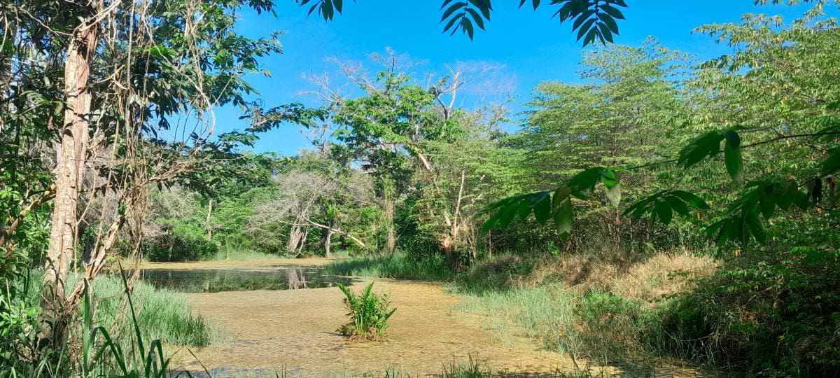 Lagos y humedales son sitios propicios para el avistamiento de aves. // HFA-EU.
