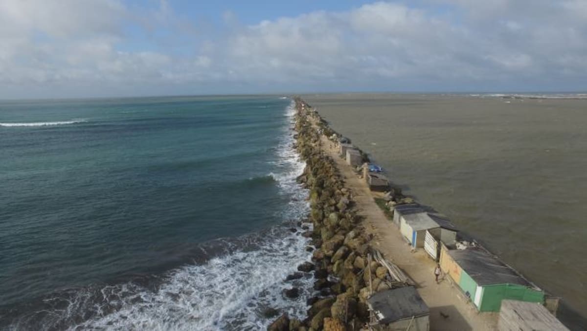 Bocas de Ceniza, desembocadura del río Magdalena en Barranquilla. Jairo Cárdenas