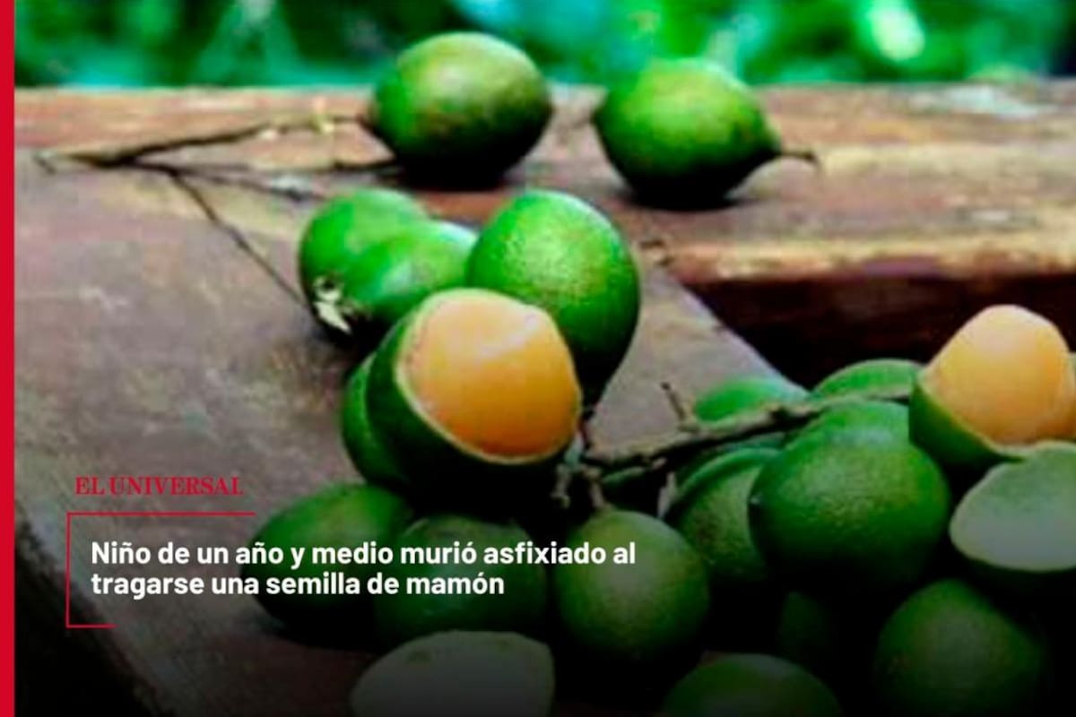 Niño murió asfixiado al tragarse una semilla de mamón