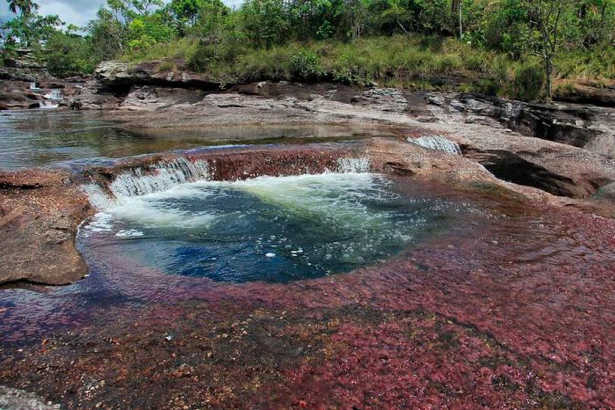 Recuperan 248 hectáreas de parque natural amenazado por deforestación