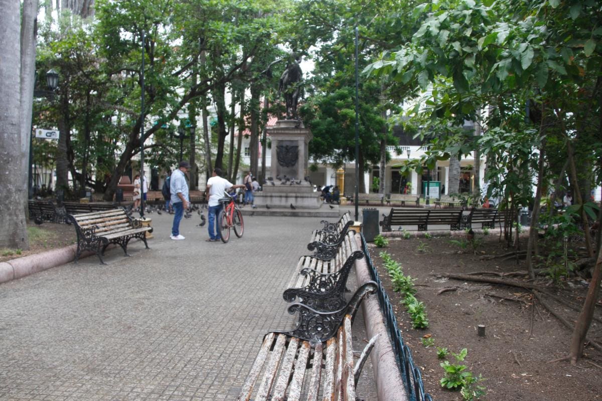 Algunas bancas desaparecieron del parque y varias de las existentes están sin espaldar o con algún otro defecto.