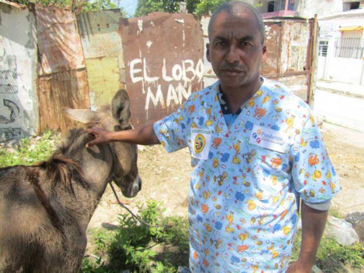 El dolor y sufrimiento de este animal abandonado llegó a oidos del veterinario Uvaldo Puello, quien hace parte de la fundación “Ángeles Con Patas”. Stephanie Alberti