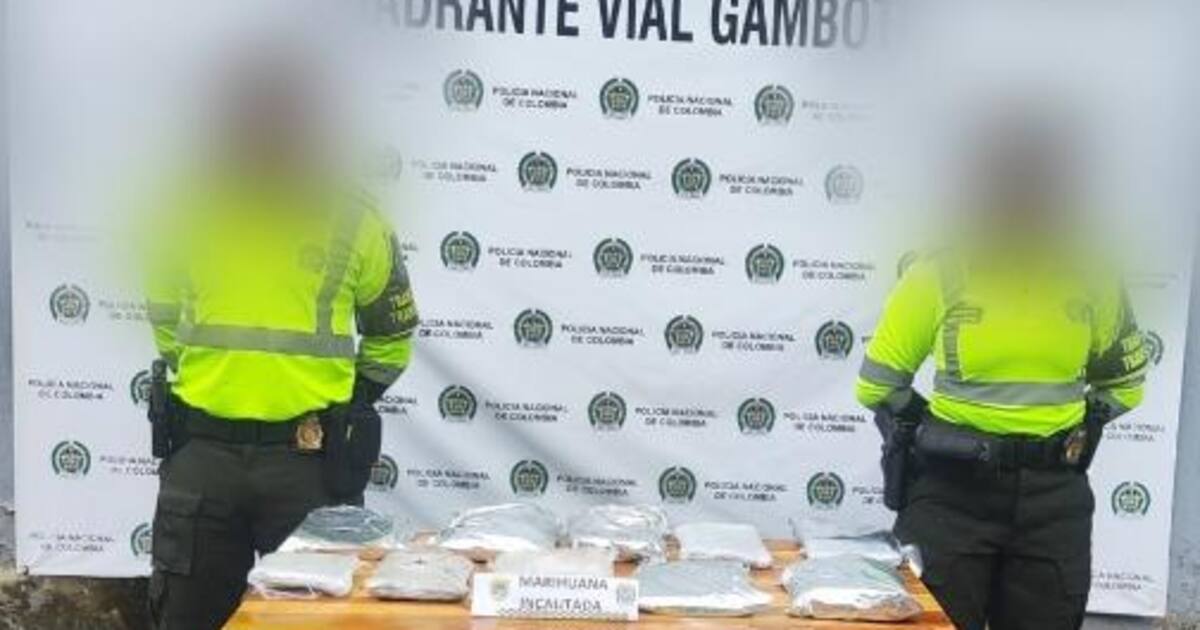 Incautan cargamento de droga que sería distribuido en expendios de Arjona