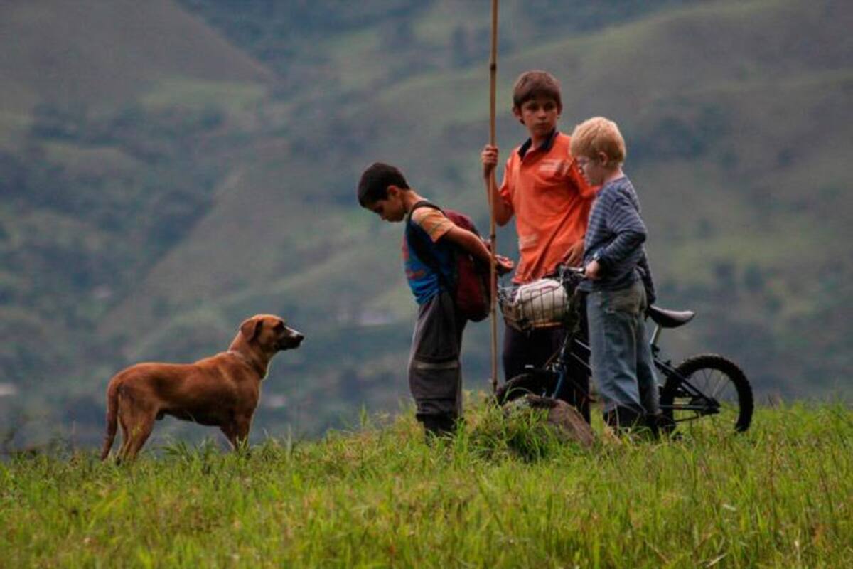 Imperdible: las películas colombianas que podrás ver gratis en el Centro