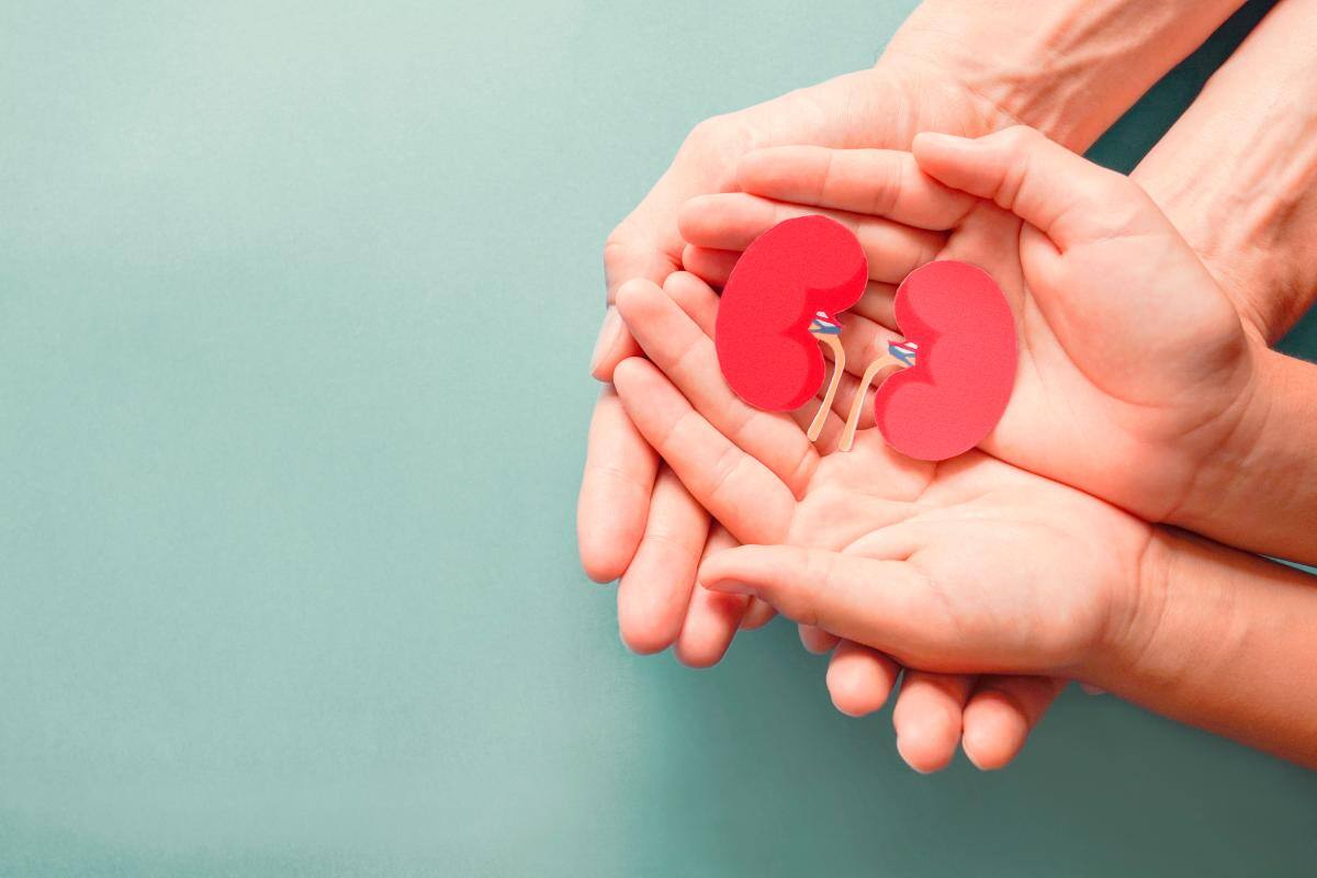 Donación de órganos: la realidad en Colombia y los mitos en ‘Pálpito’