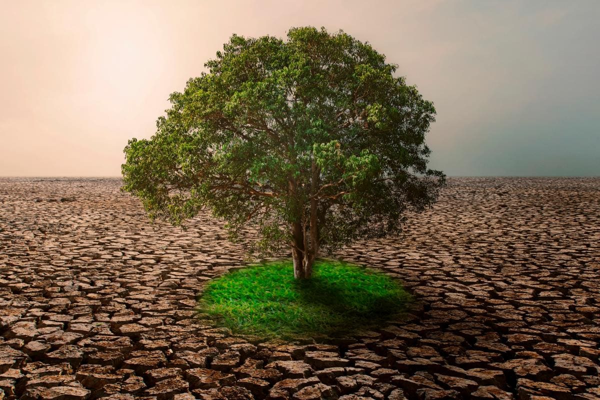 Abierta convocatoria para el Programa Nacional de Resiliencia Climática