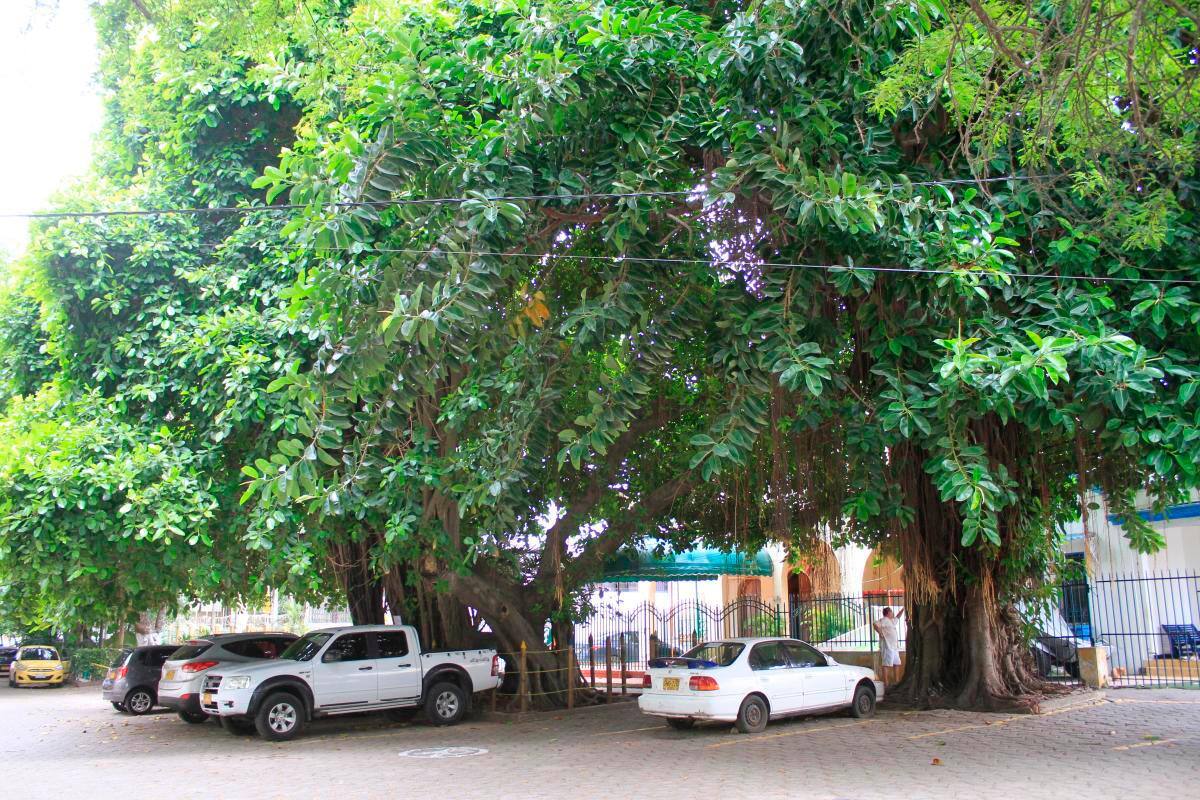 Este 7 de septiembre ‘Vacílate el Parque’ se tomará el Pie de la Popa