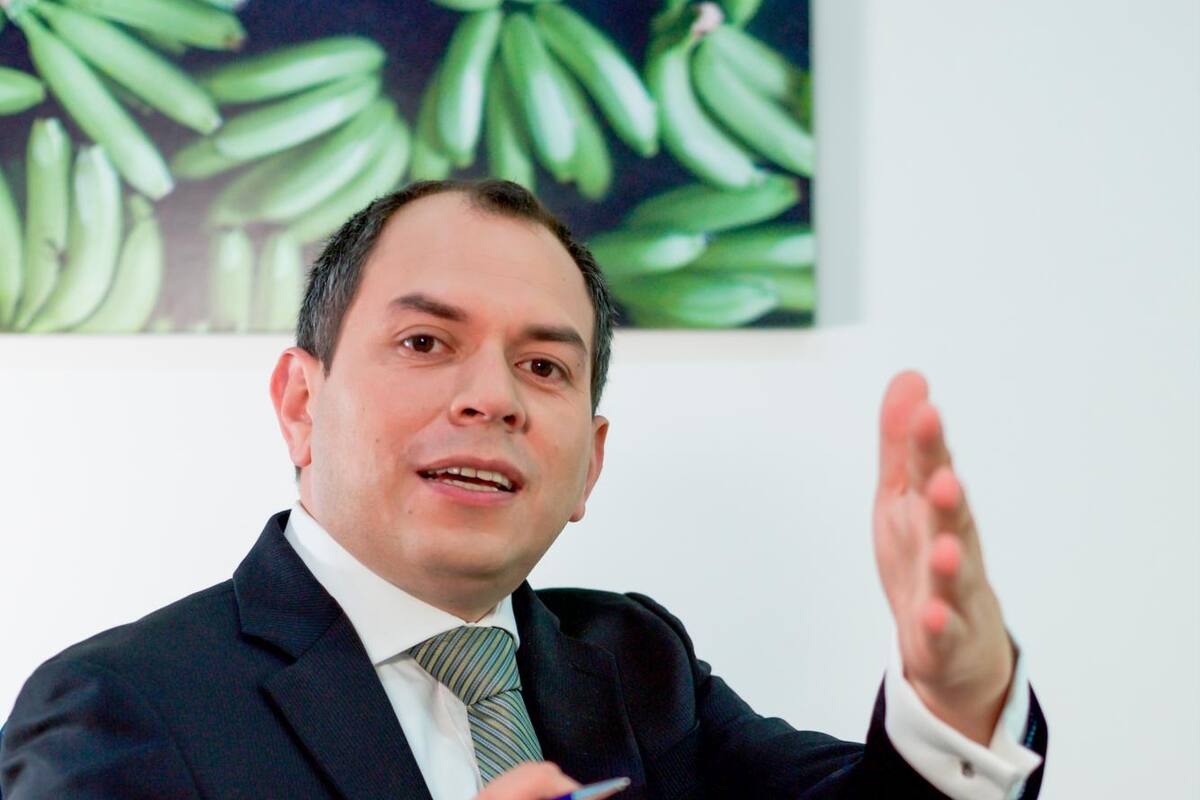 Los 4 temas que plantearán los bananeros al Gobierno