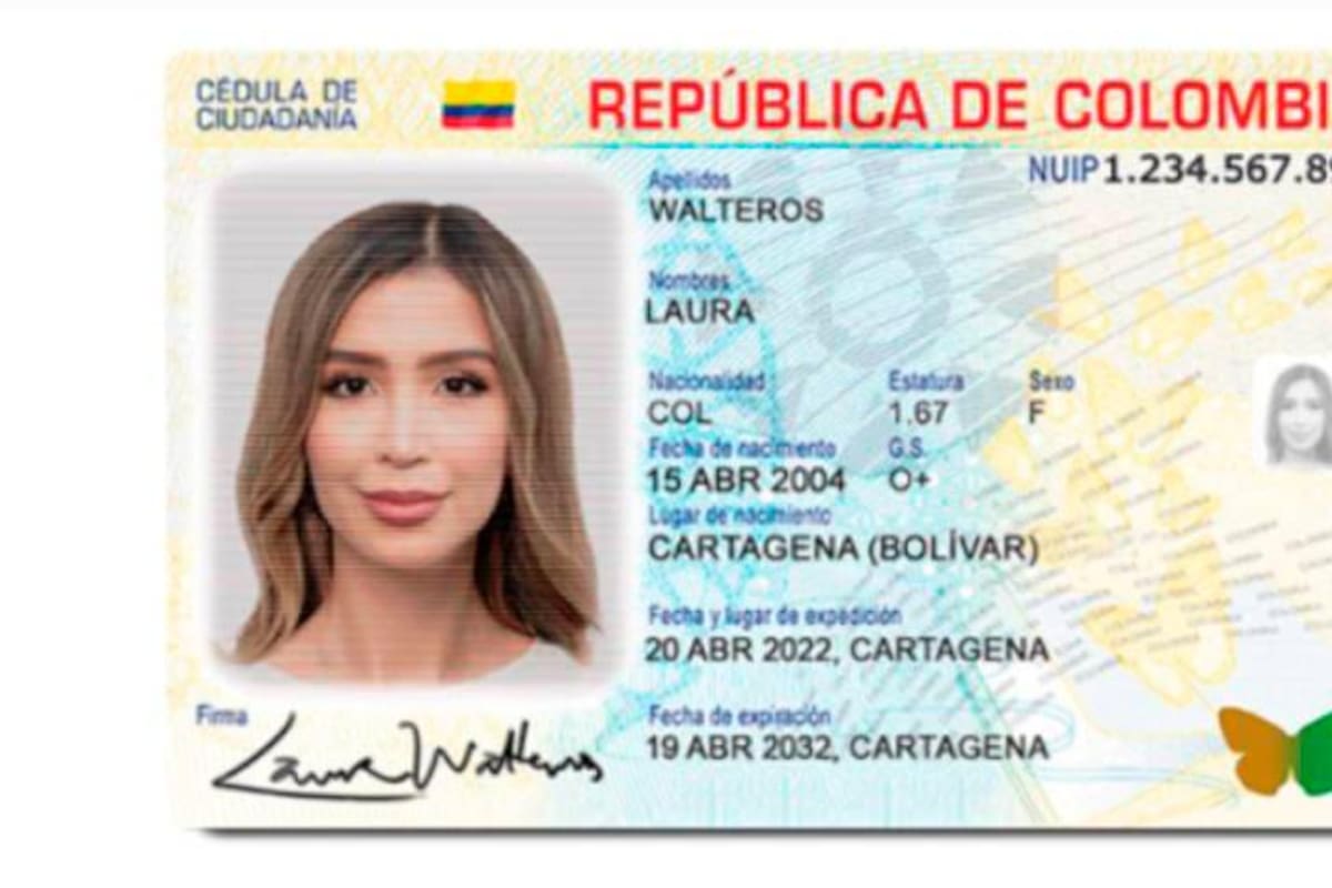 ¿Se puede votar con la cédula digital en las elecciones del 29 de octubre?