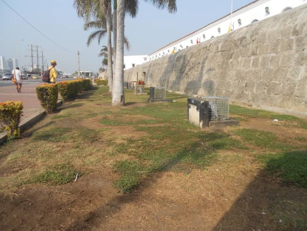 jardines a renovar por la ETCAR. EL UNIVERSAL