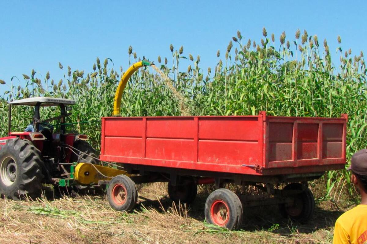Aprueban más de $6 billones para financiar al sector agropecuario
