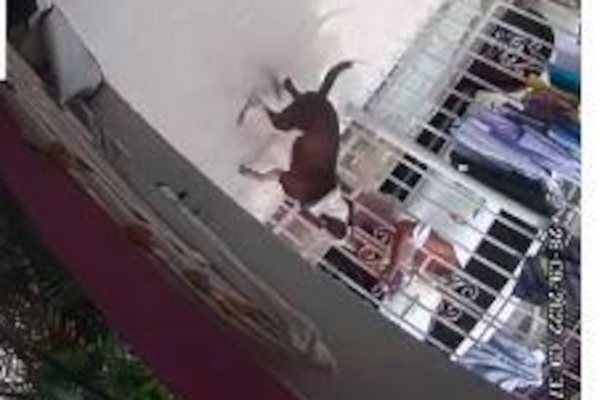Video: Así ocurrió ‘fleteo’ en la terraza de una casa, en Los Calamares