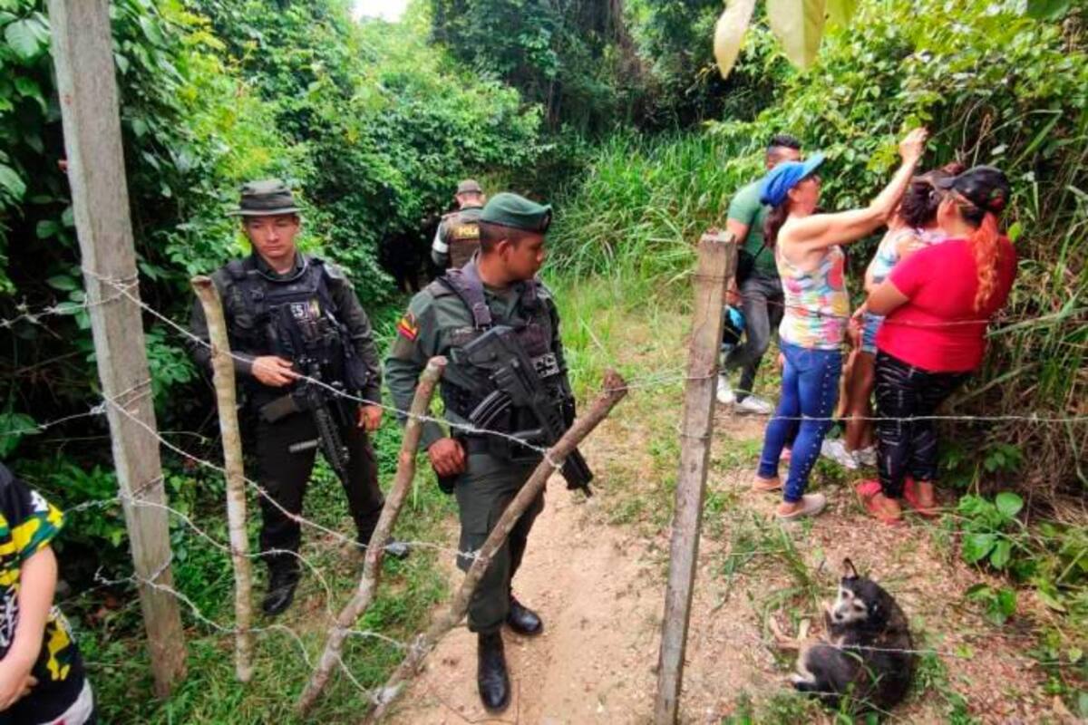 Tragedia: niño de 4 años murió tras ser mordido por varios perros pitbull
