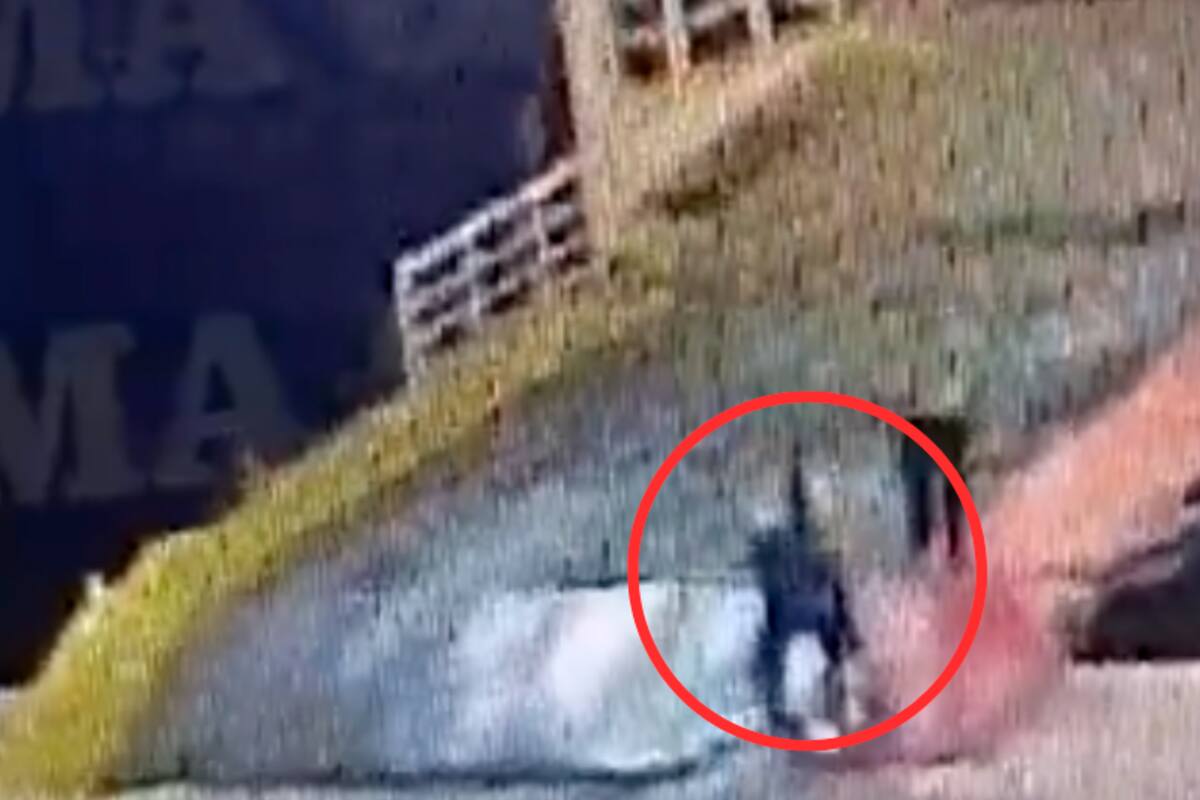 Video: tripulantes de un ferry aventaron al mar a un pasajero, quien murió