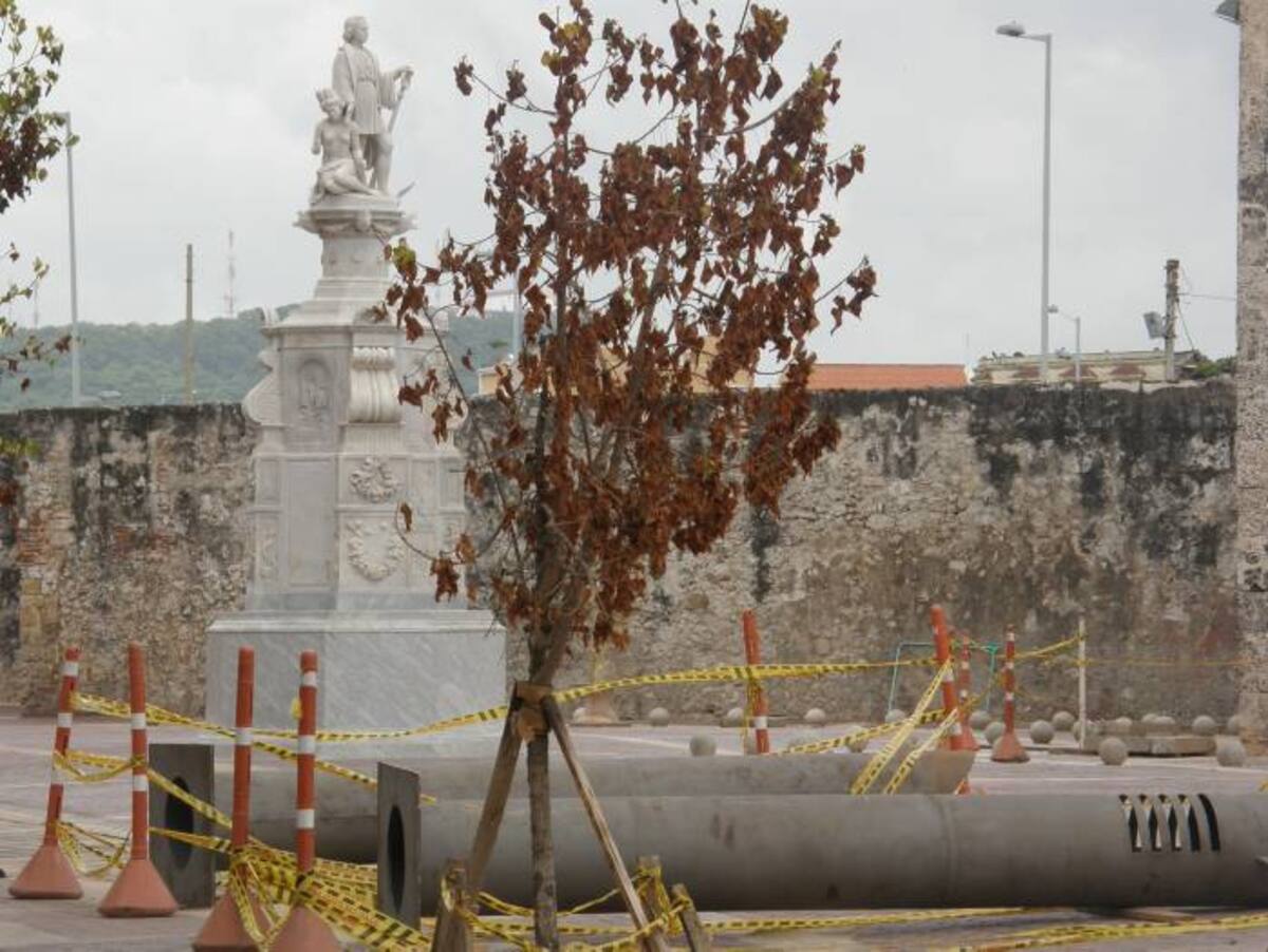 Algunos árboles de la Plaza de la Aduana están secos. ¿Cambio de hojas? EL UNIVERSAL