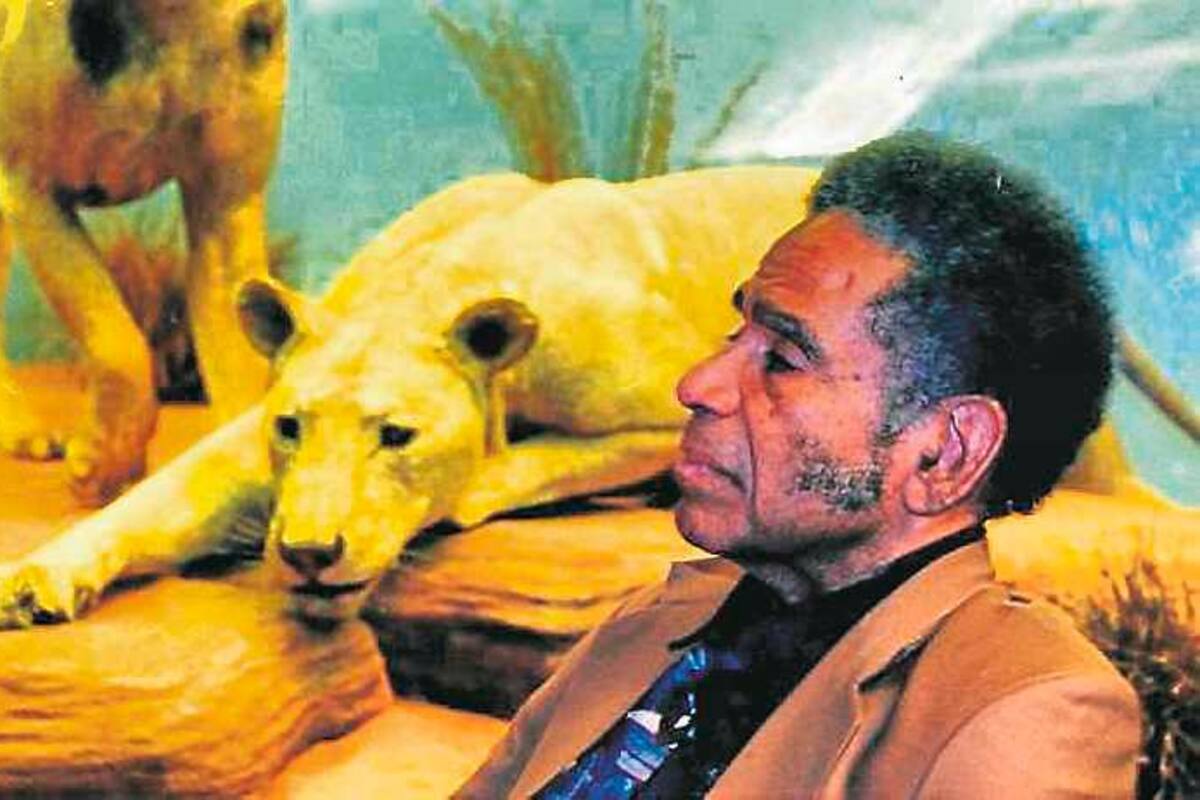 Premio Manuel Zapata Olivella a la creación plástica y visual