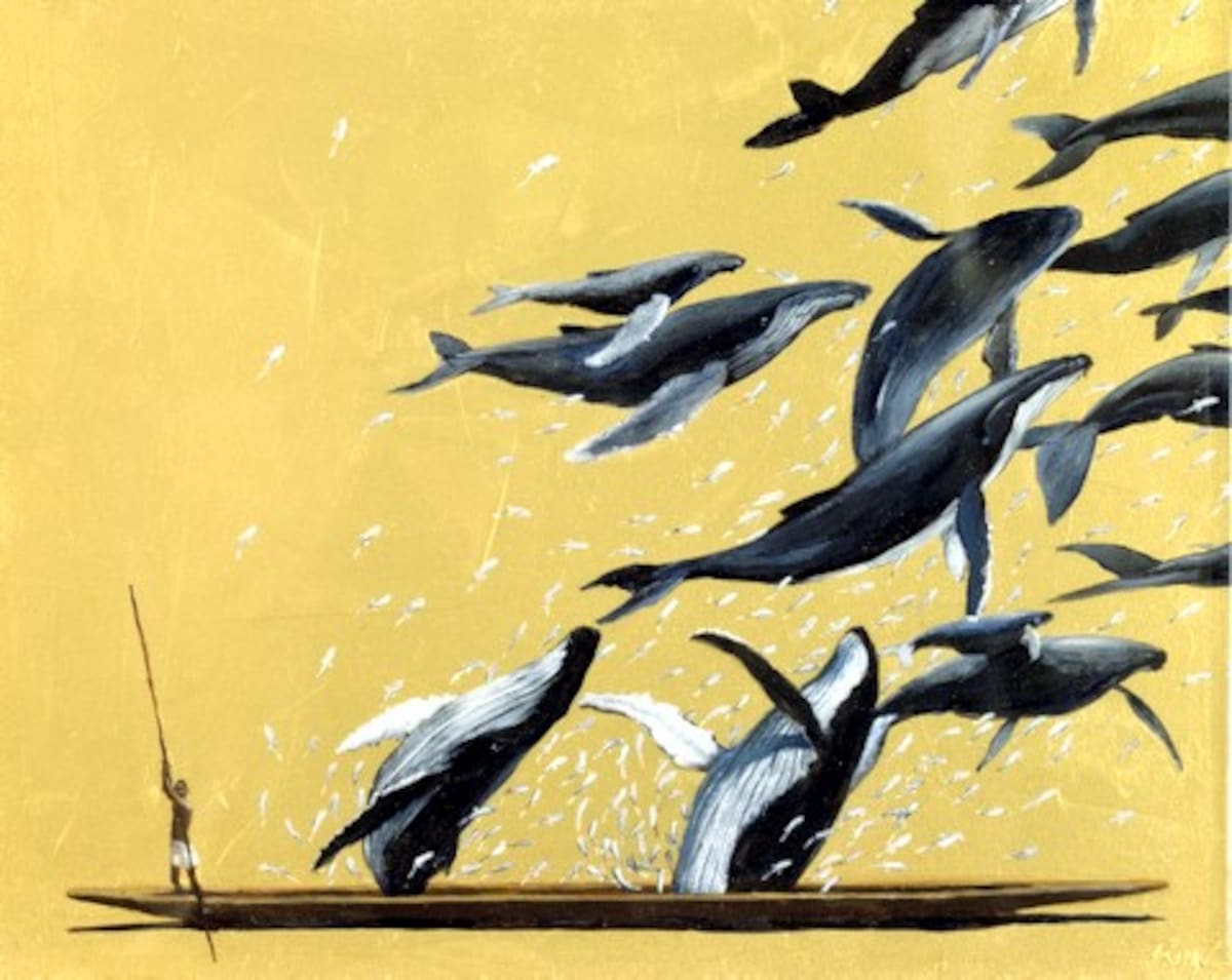 Ballenas jorobadas