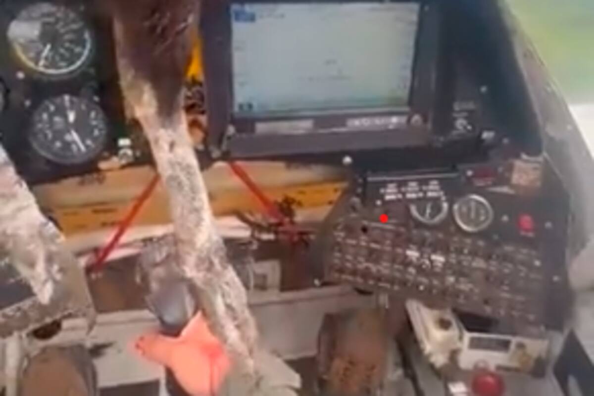 Video: ave chocó contra el parabrisas de un avión