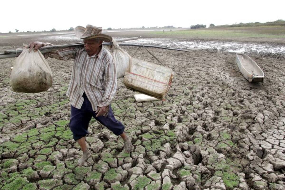 La fotografía “Desolación en la Ciénaga de San Benito” del reportero gráfico Manuel Santiago Pérez fue la premiada. MANUEL SANTIAGO PÉREZ/EL UNIVERSAL/