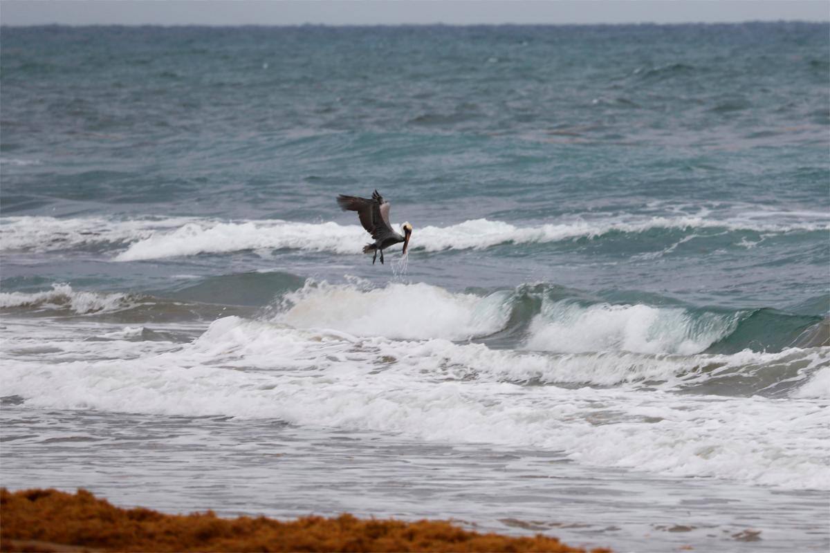 “Jurassic Park”, ¿luz verde para este polémico proyecto?