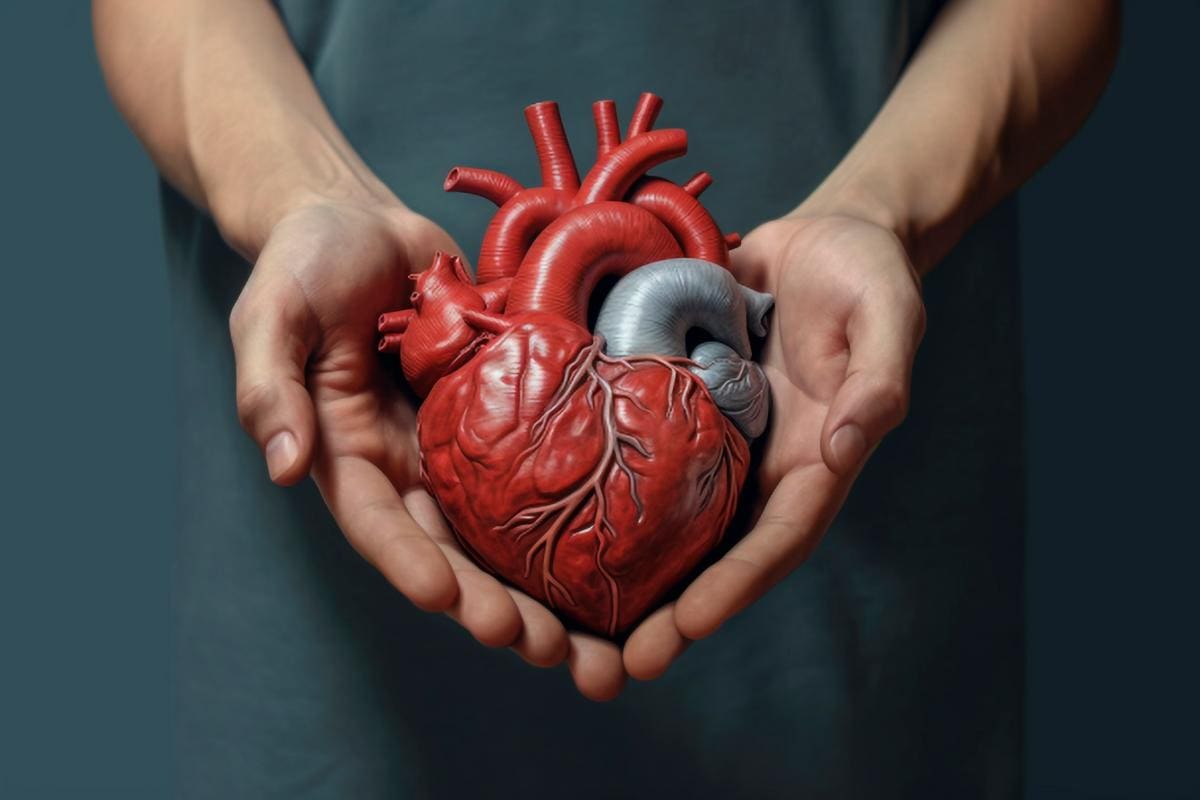 Conoce tu corazón y prevén enfermedades: identifica tus factores de riesgo
