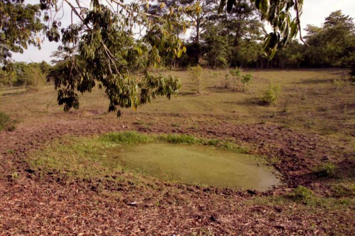 Alcaldía de Sincelejo decreta calamidad pública por efectos de la sequía