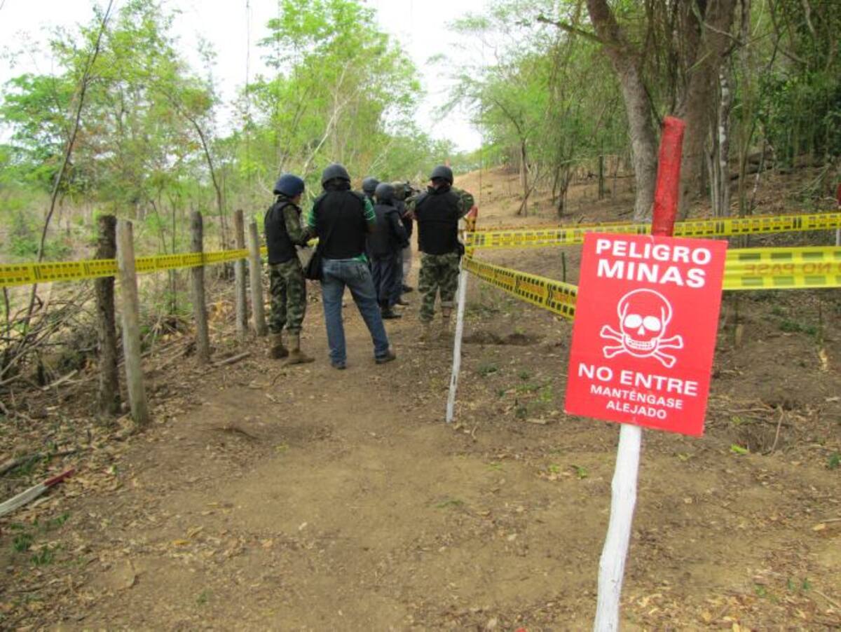 Las labores se suman a las que desde el año pasado se realizan en San Antonio, Cocuelo, La Sierra y El Salado, zona rural de El Carmen de Bolívar. Archivo El Universal