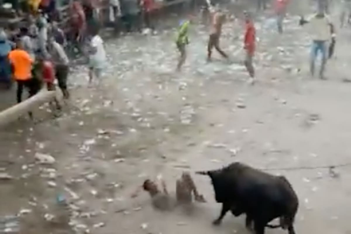 Varios heridos dejan fiestas de corraleja en Sabanagrande, Atlántico
