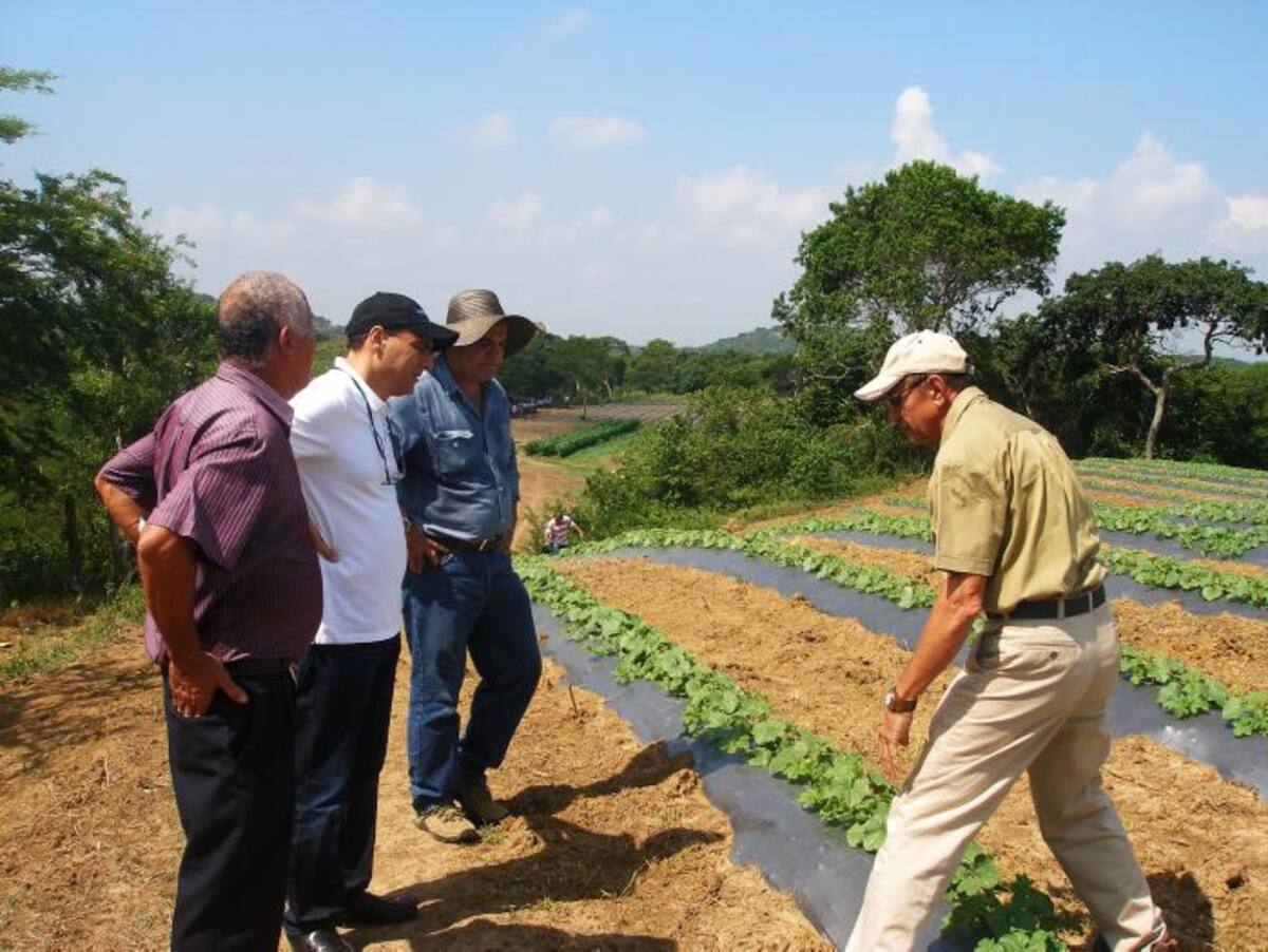Los recursos fueron asignados por el Ministerio de Agricultura en el ejercicio de los Pares (Planes de Articulación Regional). ARCHIVO - EL UNIVERSAL