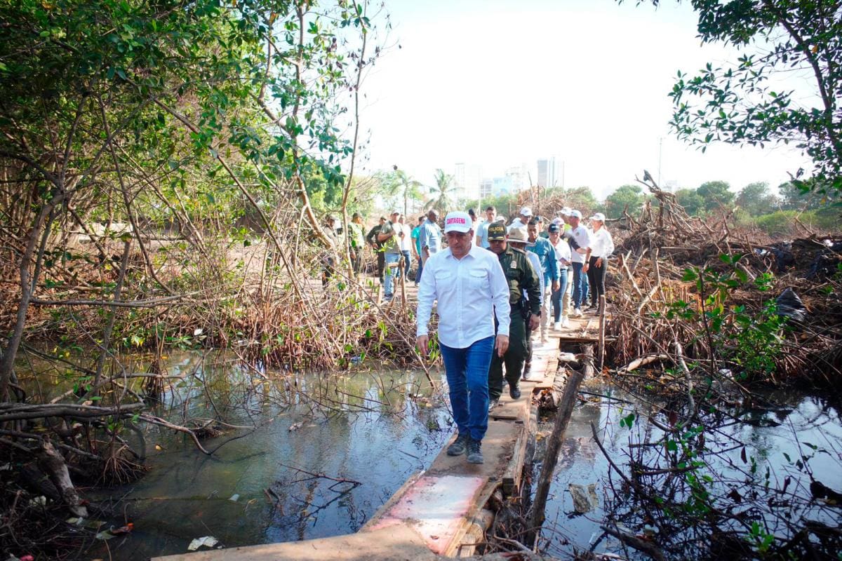 San Felipe Neri, calle La Lengua y otras obras, Dumek dice cuándo estarán listas
