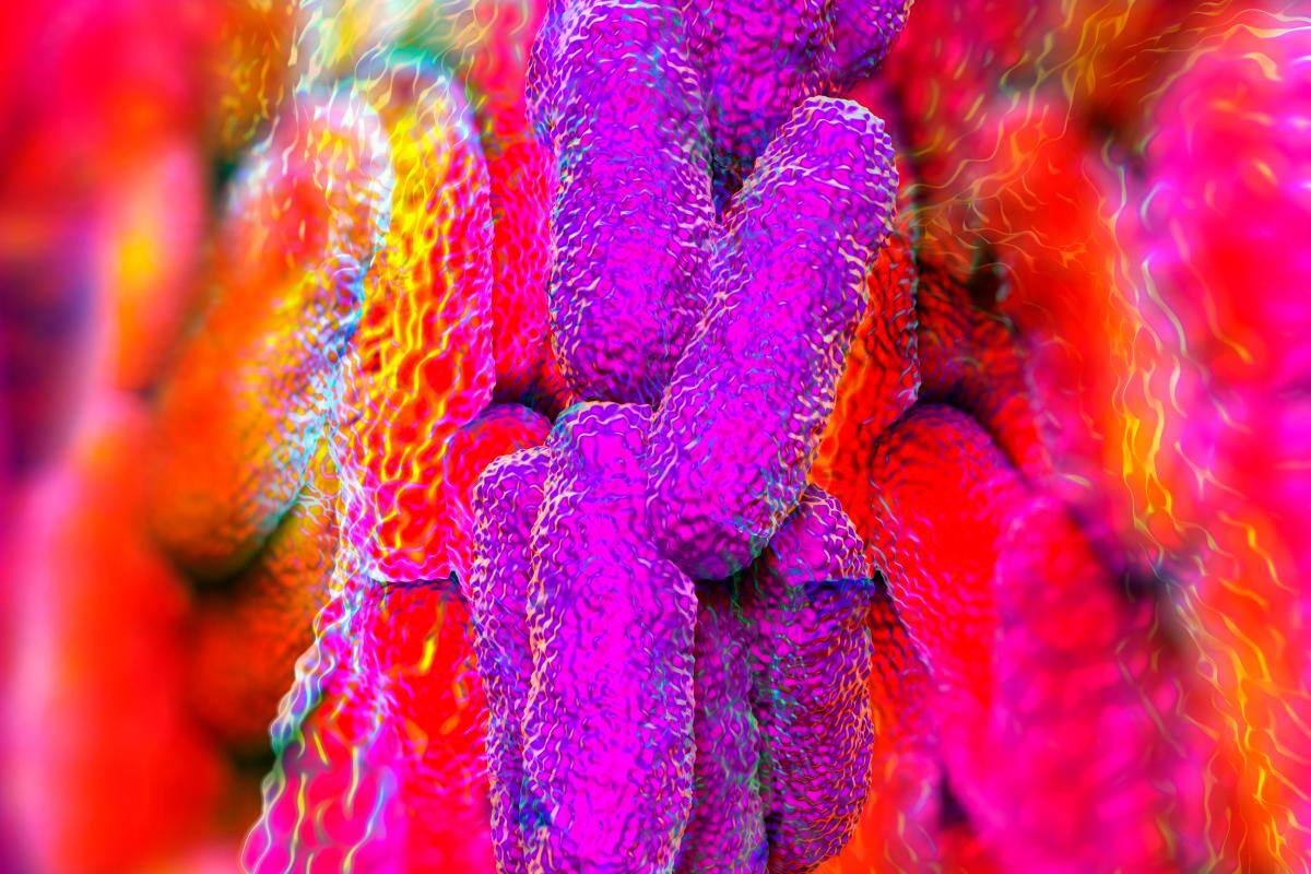 ¿Por qué no auto medicarse antibióticos?