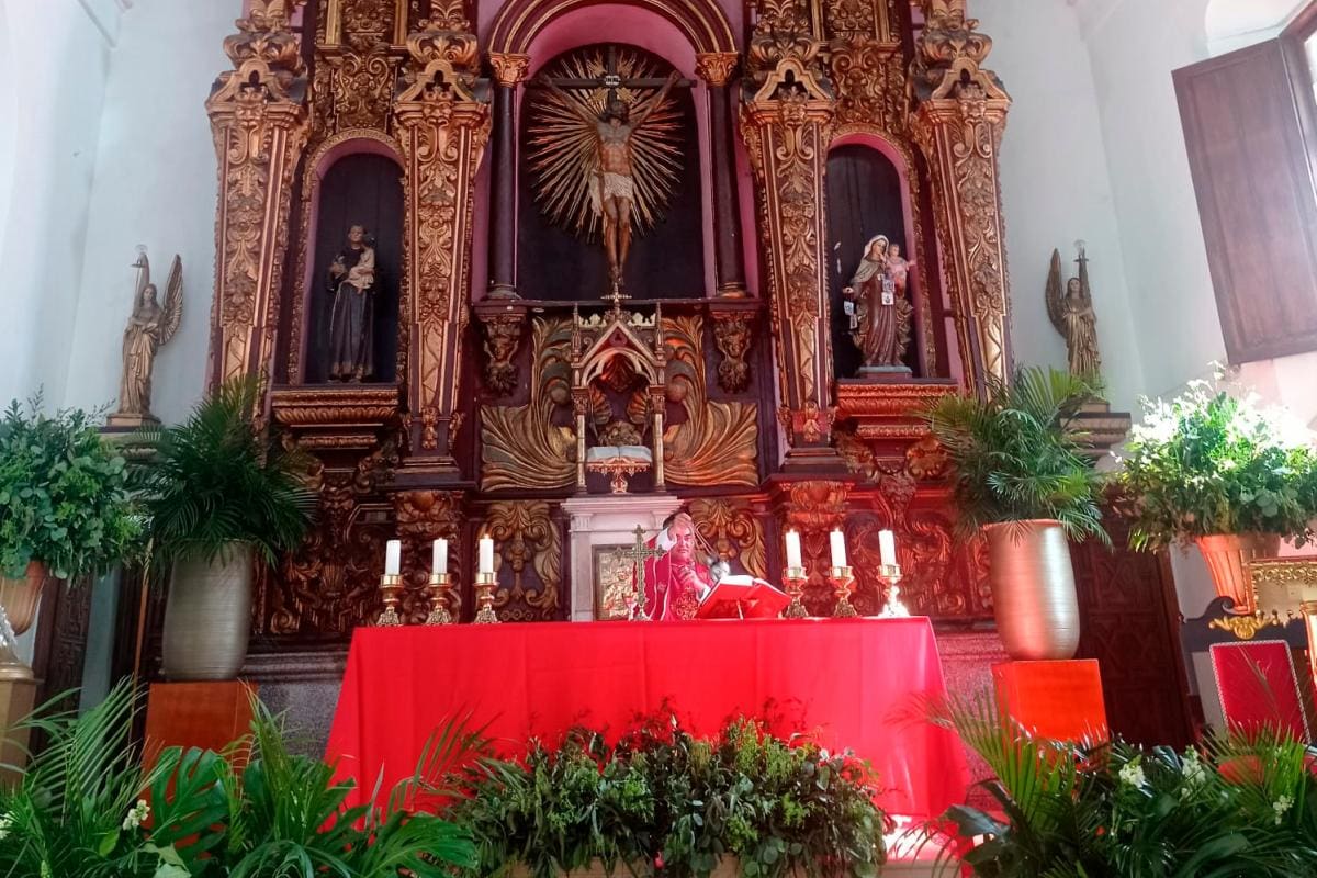 Galería: Así se vive el Domingo de Ramos en Cartagena