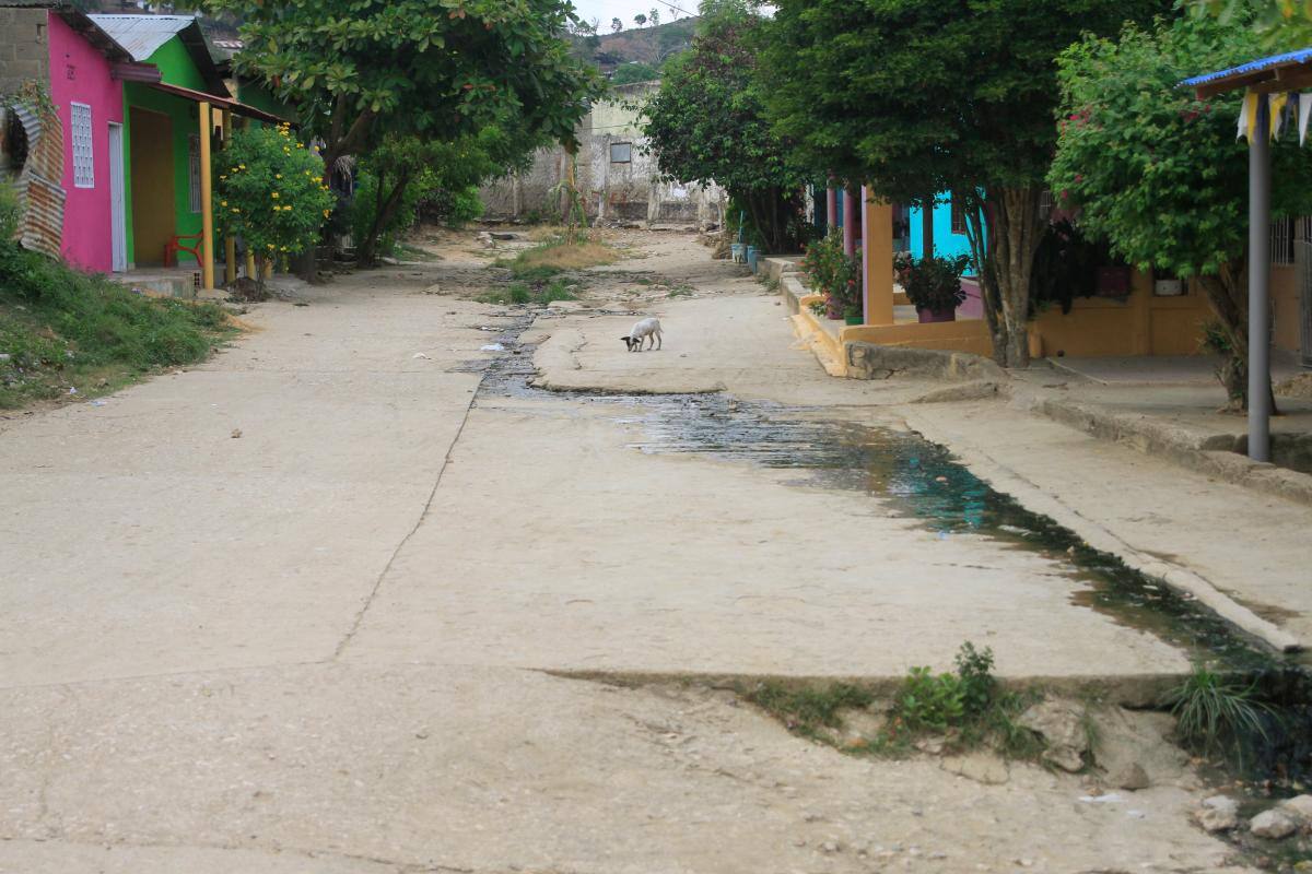 Preocupación por casos de dengue grave en San Juan Nepomuceno