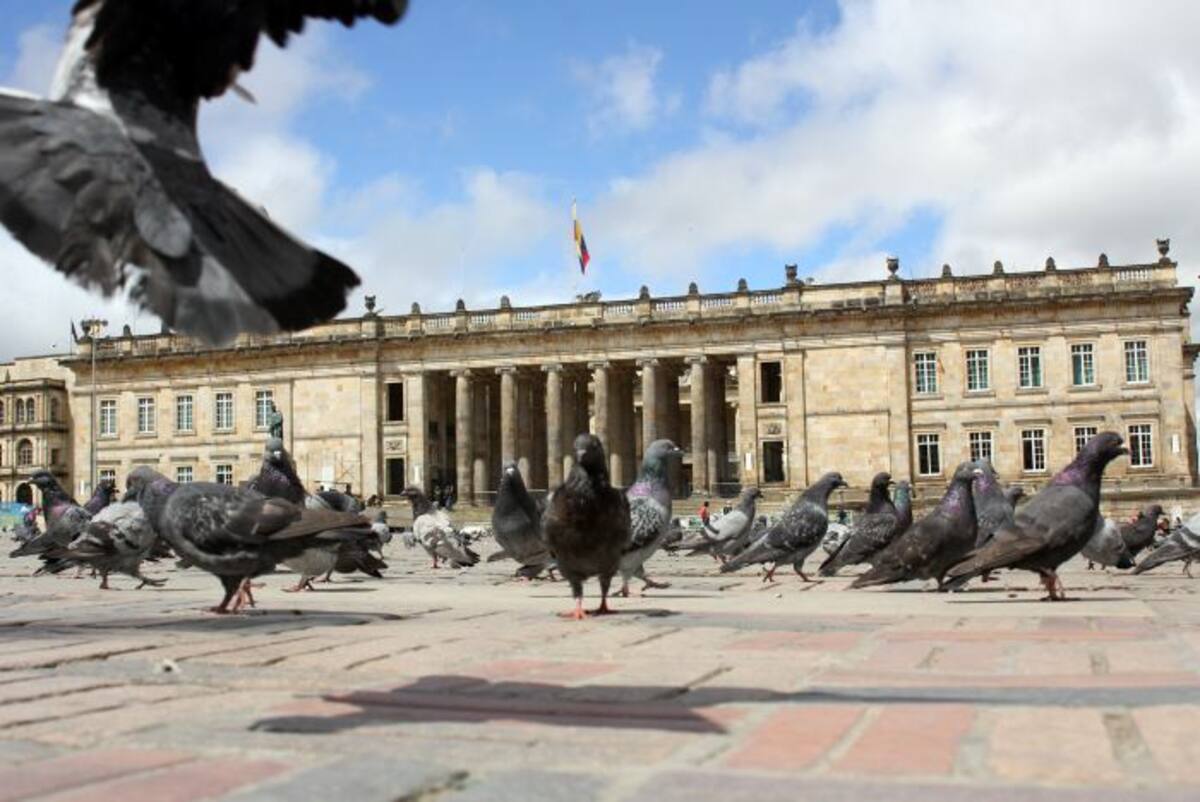 Desde el Capitolio Nacional, en la plaza de Bolívar, en Bogotá, los congresistas electos crearán, modificarán leyes, ejercerán control político, entre otras funciones. Colprensa.